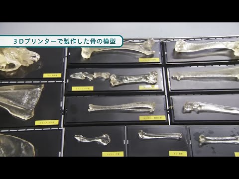 『ココカラ』Research40【設計最適化のカギ！バイオイノベーティブデザイン】/金沢大学研究紹介動画