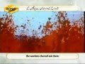 Sura Mulk Beautiful Recitation By Qari Syed Sadaqat Ali