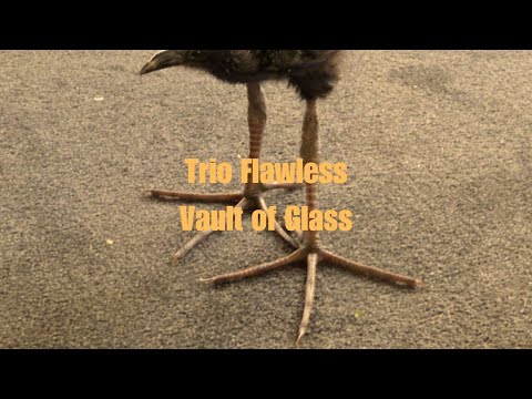 Flawless Trio Vault of Glass - Full Raid