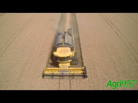 WHEAT HARVEST: NEW HOLLAND CR8070 - ITALIAN HARVEST 2015