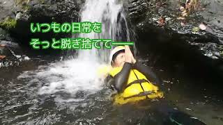 ワイルドウインド