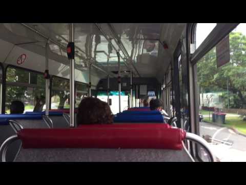 Punchbowl Bus Co 9026 - Hino RG197K/Custom Coaches