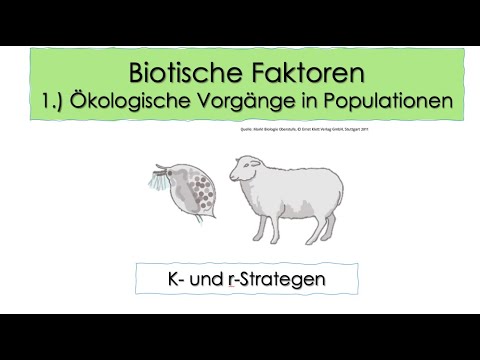 Biotische Faktoren 1b) K- und r- Strategen - Erklärung der Aufgaben