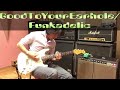 funkadelic / good to your earhole guitar cover by irimajiri