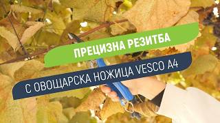 Vesco A4 - овощарска ножица с гилотинно рязане | Прецизна резитба до 25 mm