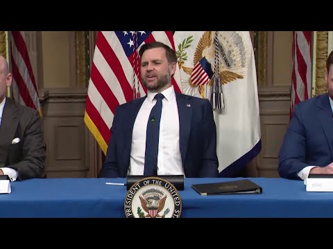 JD Vance claims crackdowns on Medicaid, Minnesota fraud during task force roundtable event