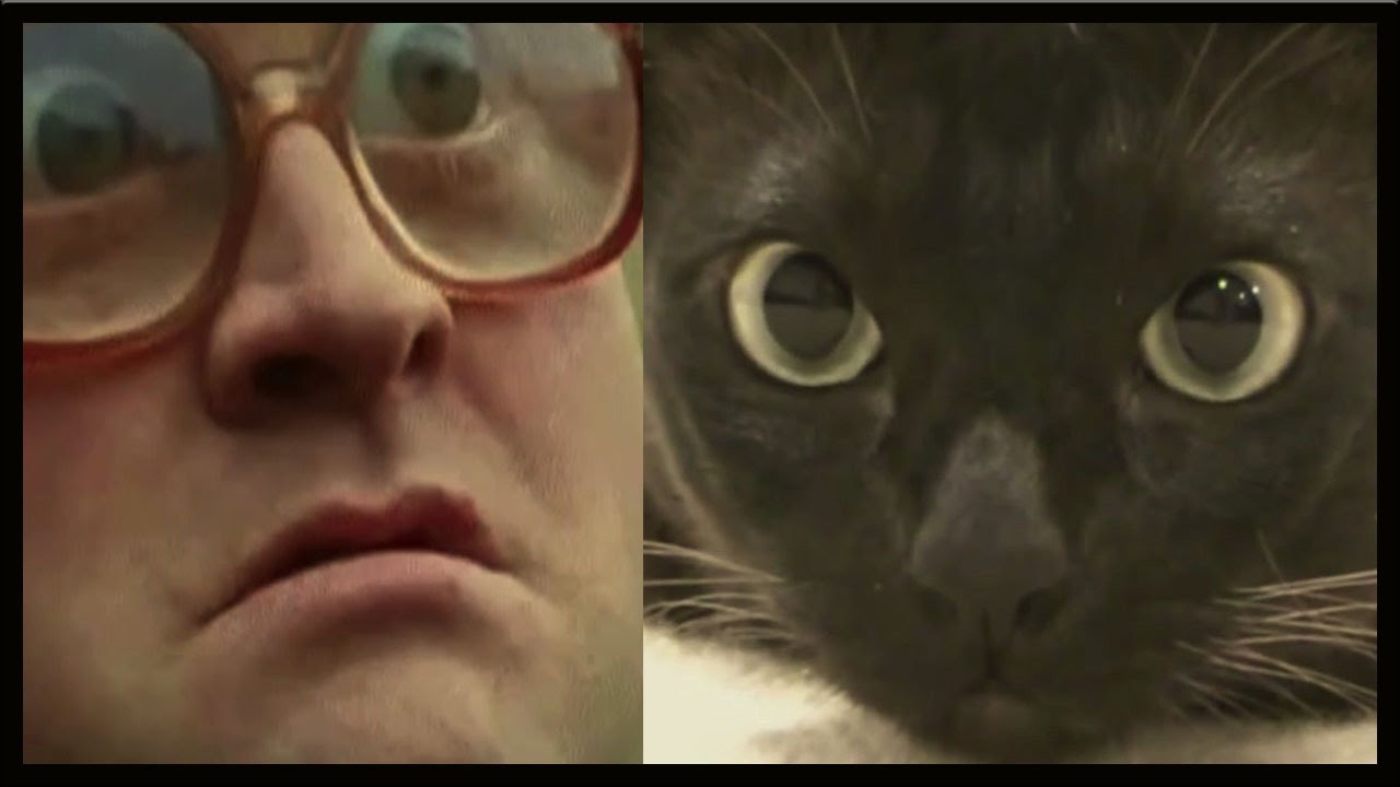 ��������� ����� �������� ����� ��������.