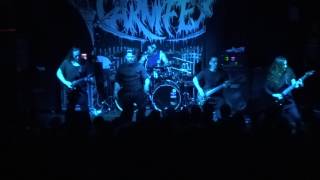 Fallujah - "Alpha Incipient" and "Adrenaline" (Live in San Diego 2-2-17)