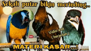 Download lagu SEKALI PUTAR BIKIN MERINDING materi kasar  panjang , cungkok, cililin, tengkek buto ( berjedah) mp3 Download lagu SEKALI PUTAR BIKIN MERINDING materi kasar  panjang , cungkok, cililin, tengkek buto ( berjedah) mp3