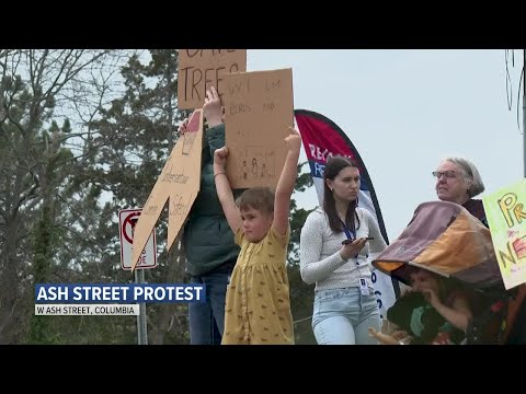 Columbia residents protest city's plan to remove trees and build new sidewalks