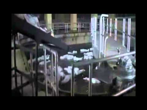 Heyo - 同一天空下 （Version 2012）