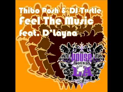DJ TURTLE & THIBO ROSH feat D'layna - FEEL THE MUSIC.wmv