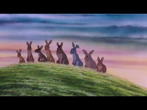 Sure I See the Sun - Peter and the Wolf