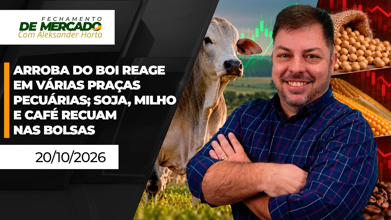 FECHAMENTO DE MERCADO - Arroba do boi reage em várias praças pecuárias; soja , milho e café recuam..
