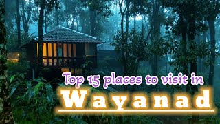 Wayanad | Top 15 places to visit in Wayanad | kerala tourism