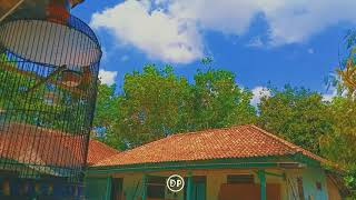 Download lagu STORY WA VIDEO CINEMATIC KEREN TERBARU 2021 mp3