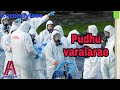 Coronavirus Pudhu Varalaare Song Whatsapp Status Tamil
