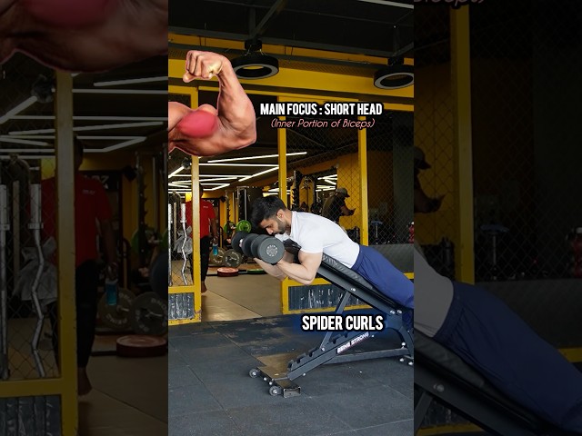 Barbell Spider Curl video thumbnail