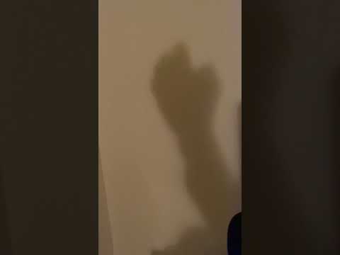 Jianu -Trag (feat. F.Charm) a video of shadows