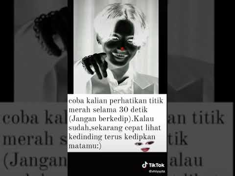 perhatikan titik merah selama 30 detik (jangan berkedip)