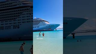 MSC Divina - Ocean Cay Marine Reserve,  Bahamas 🇧🇸 #shorts