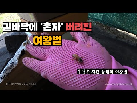 아이콘