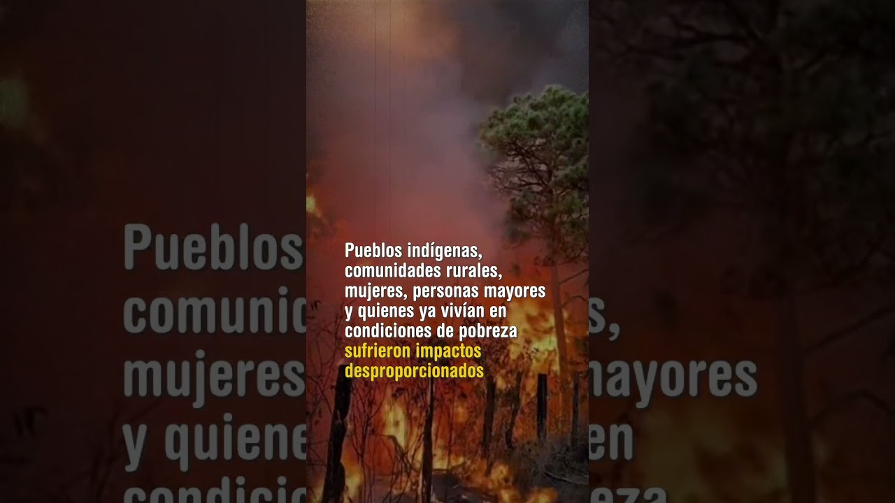 REDESCA publica informe sobre incendios forestales en #bolivia