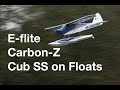 E-flite Carbon-Z Cub SS on Floats 