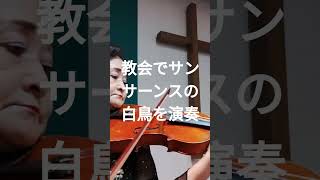 Download lagu 教会でサンサーンスの白鳥を演奏 mp3