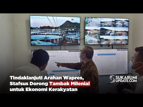 Tindaklanjuti Arahan Wapres, Stafsus Dorong Tambak Milenial untuk Ekonomi Kerakyatan