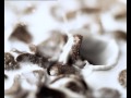 Koko Krunch Koko Love Dance