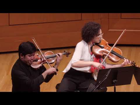 Verona Quartet - I. Allegro moderato (String Quartet in F Major) - Maurice Ravel