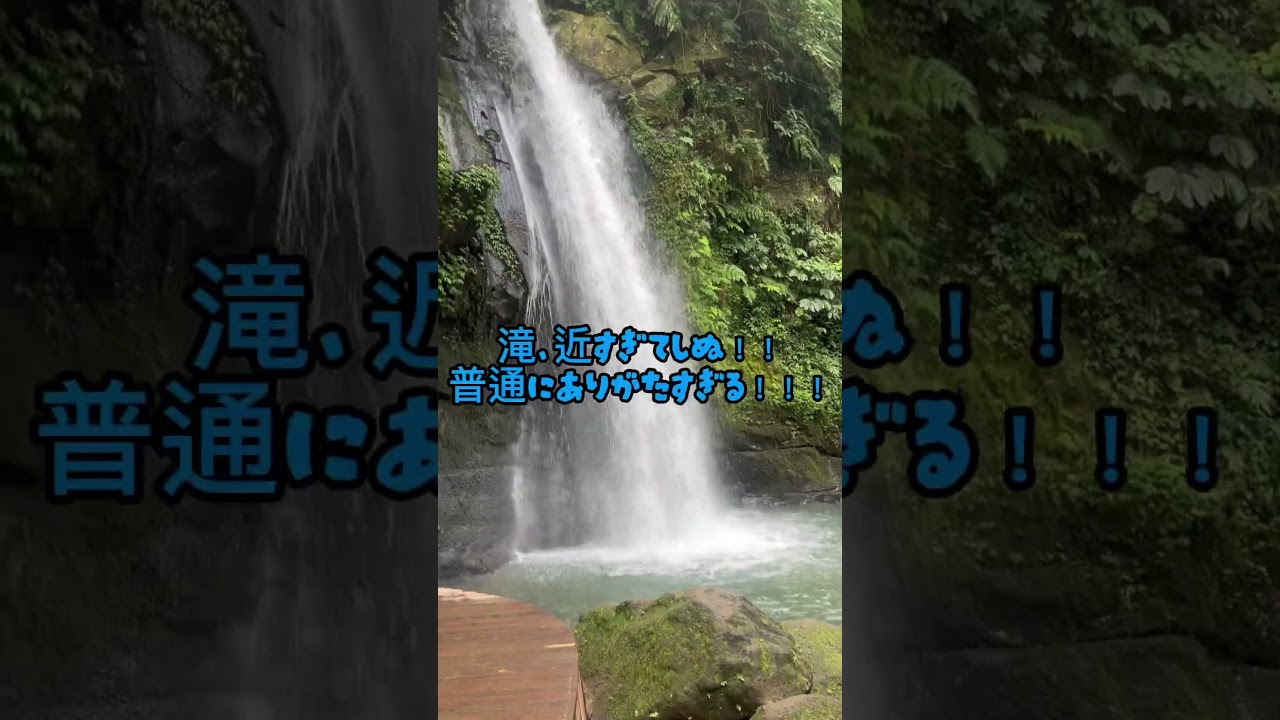 【バリのウブドホテル1万円で素晴らしすぎ！！】#travel #バリ島ガイド #旅行 #hotelstay #vlog #ホテルステイ #bali #ウブド #ubud #東南アジア #海外旅行