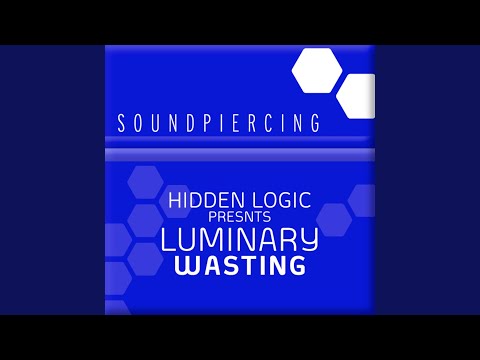 Wasting (Original Mix)