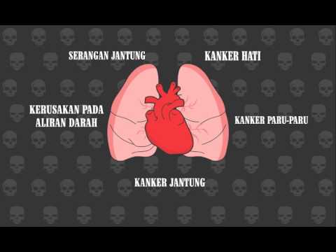 Unduh 500 Gambar Animasi Rokok Terbaik Unduh 500 Gambar Animasi Rokok Terbaik