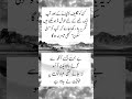 urdu quotes 🤗 | urdu best quotes 🌹 | Urdu Akwal e zareen ♥ | true lines ☺