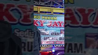 Download lagu Keluh Kesahmu Ndelok Karnaval Desa Kraton Mojo Kediri 2024 Opo Dulur .. mp3