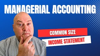 Step-by-Step Common Size Income Statement Analysis