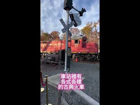 Além disso, no primeiro aniversário da véspera de Ano Novo, o antigo trem (Polar Express) perto da antiga residência do rei foi inaugurado novamente.