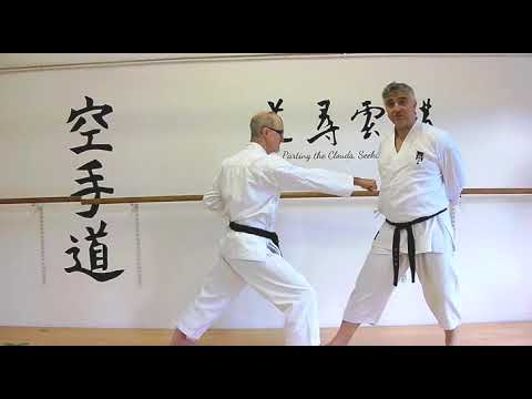 manji gamae Bunkai Strategies 2022 week 3 koryu karate oyo jutsu