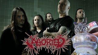 Download lagu ABORTED live concert full set mp3 Download lagu ABORTED live concert full set mp3