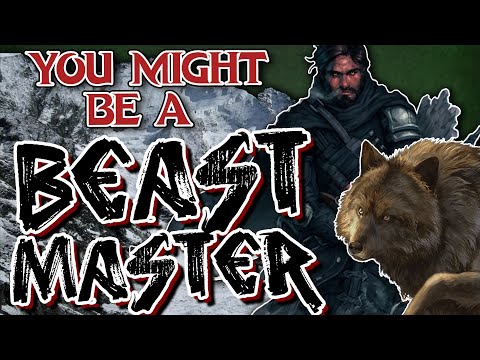 You Might Be a Beast Master | Ranger Subclass Guide for DND 5e (2014)