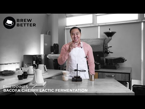 Brew Better: Philippines BACOFA Cherry Lactic Fermentation