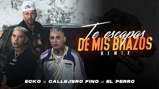 Download lagu ECKO Callejero Fino El Perro Te Escapas De Mis Bra... mp3