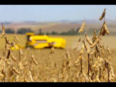 Agricultura, Pecuária, Abastecimento e Des. Rural - Créditos de Descarbonização - 14/10/2021