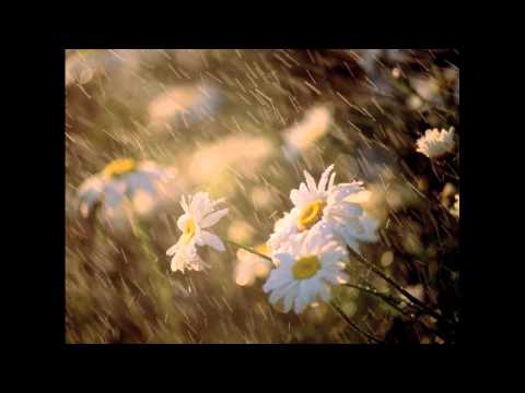 Tesfaye Chala Mezmur Adereglneg Tamer