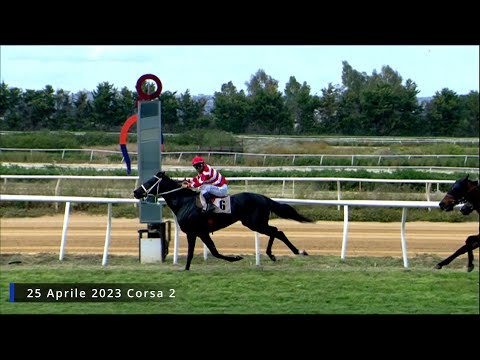 Galoppo Corse 25 Aprile 2023