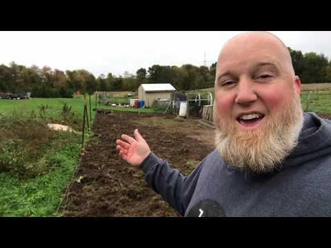 Grave Visit, Drying the Pigs