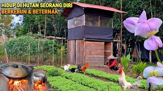 Download lagu Di iringi hujan Panen kacang,tanam kemangi, Masak ayam kampung liwet tiwul, hidup di hutan CR-115 mp3 Download lagu Di iringi hujan Panen kacang,tanam kemangi, Masak ayam kampung liwet tiwul, hidup di hutan CR-115 mp3