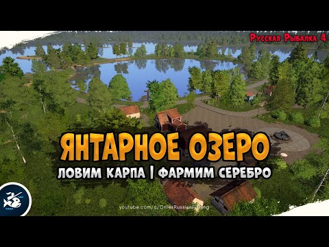 Фото Янтарное озеро и река Сура • Driler - Русская Рыбалка 4